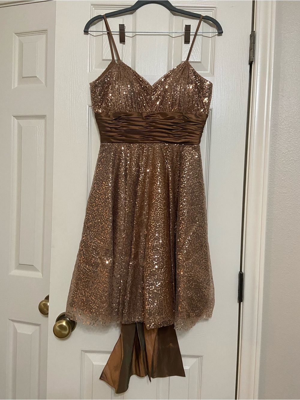 Cinderella Bronze Shimmer Evening Dress